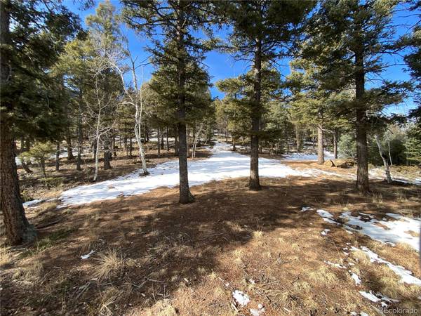 Manitou Springs, CO 80892,318 Palmer TRL