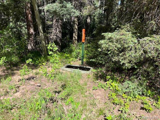 Fort Garland, CO 81133,Lot 2893 Coder PL