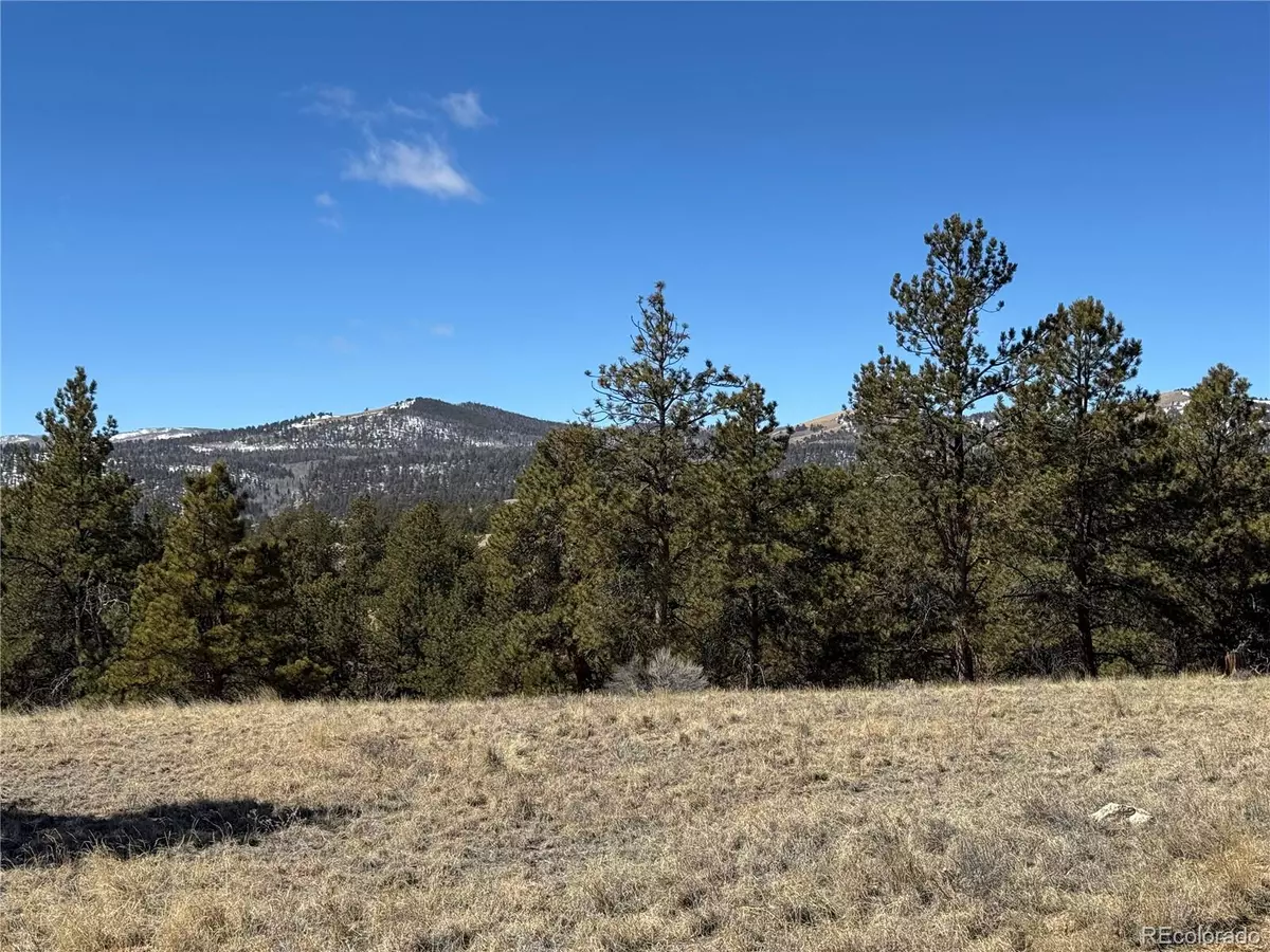 Hartsel, CO 80449,0 Aspen Trail
