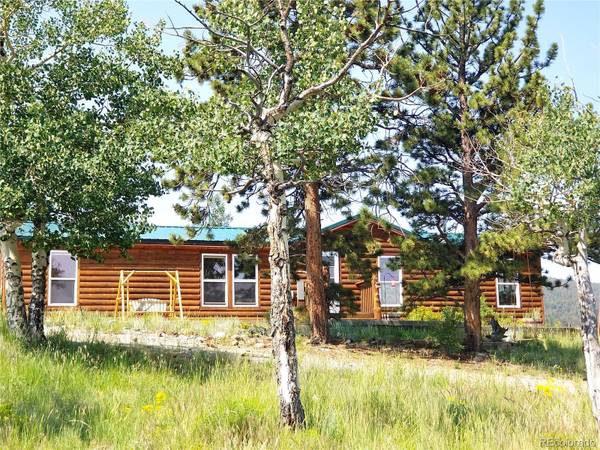 3636 Singletree RD, Hartsel, CO 80449