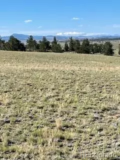 Hartsel, CO 80449,148 Grand Teton DR