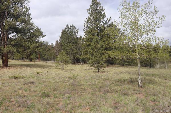 1553 Windmill DR, Hartsel, CO 80449