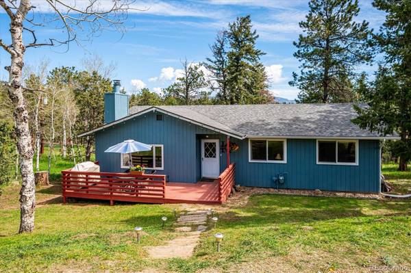 113 Bluebird LN, Bailey, CO 80421