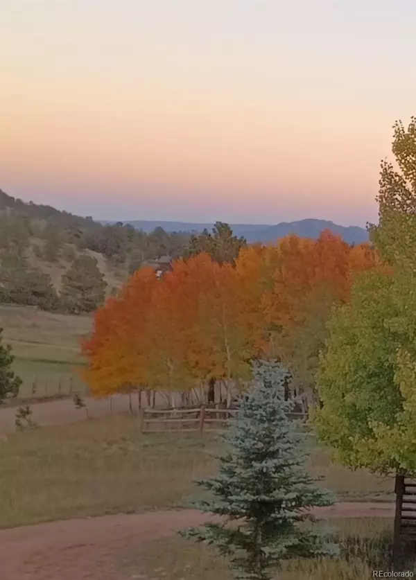 Bailey, CO 80421,119 Quakie WAY