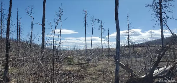 Fort Garland, CO 81133,Lot 1667 Towey PL