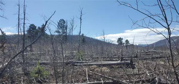 Fort Garland, CO 81133,Lot 1667 Towey PL