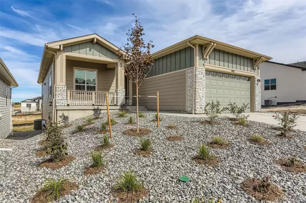 Castle Rock, CO 80104,482 Basin Daisy ST