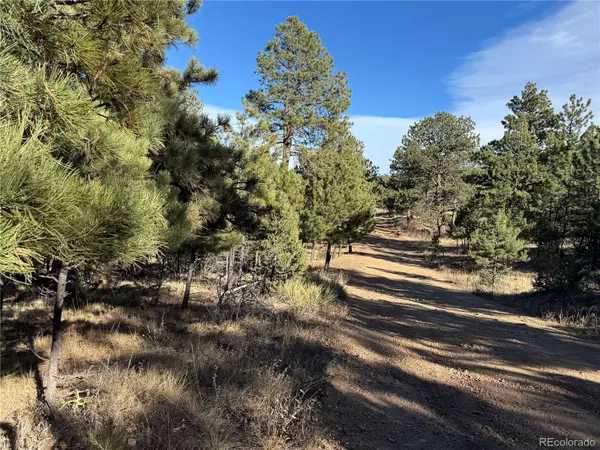 Westcliffe, CO 81252,Lot 35 Stephens DR