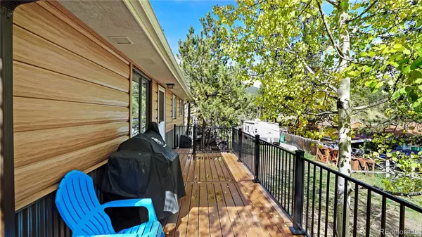 Bailey, CO 80421,183 Bartimous RD