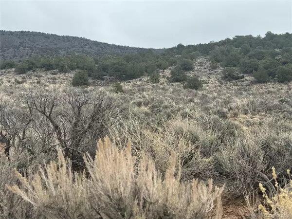 San Luis, CO 81152,Old Stage Coach RD