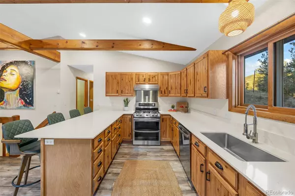 Bailey, CO 80421,22 Driver RD