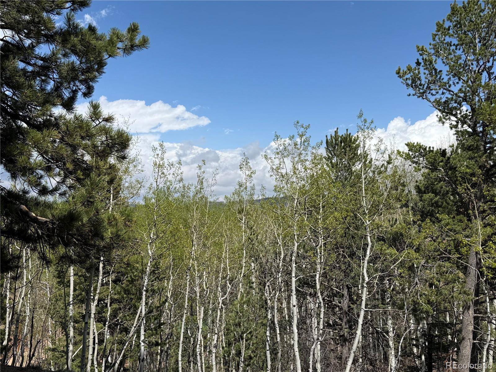 Woodland Park, CO 80863,62 Hadatsa LN