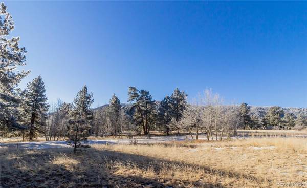 169 Pine Forest RD, Lake George, CO 80827