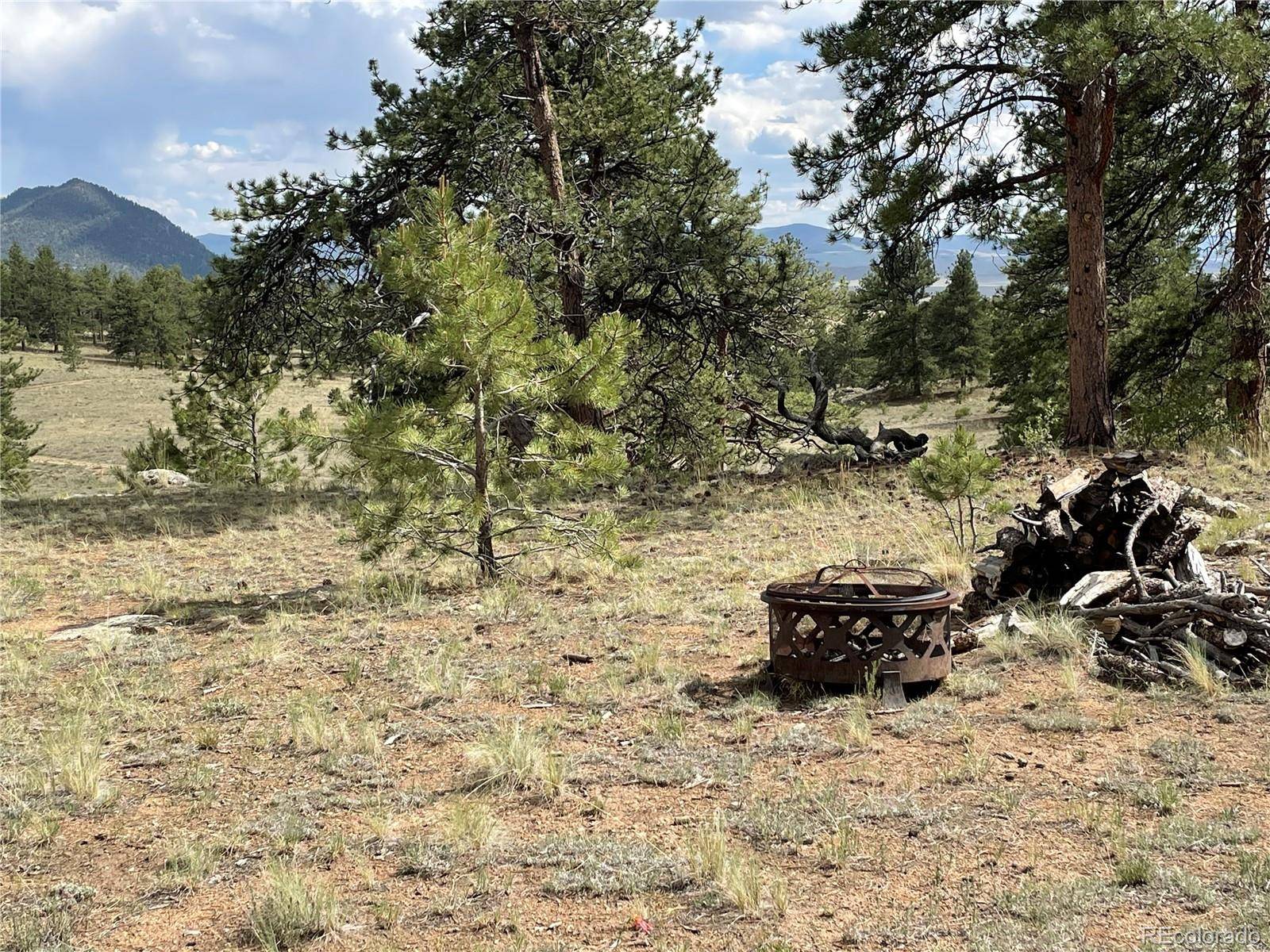 Hartsel, CO 80449,11993 Clear Creek RD