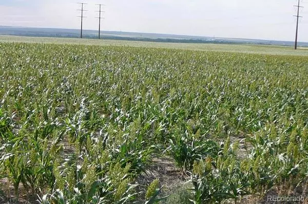 4501 S CR 181 aka Exmoor RD, Byers, CO 80103