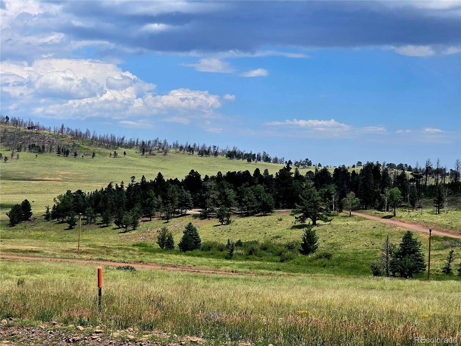 Fort Garland, CO 81133,Lot 2057 Forbes Park RD