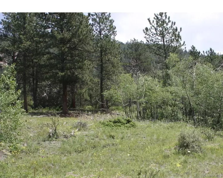 412 W Creek RD, Glen Haven, CO 80532