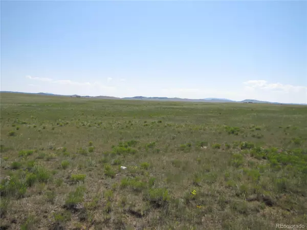 Hartsel, CO 80449,1332 Wasatch RD