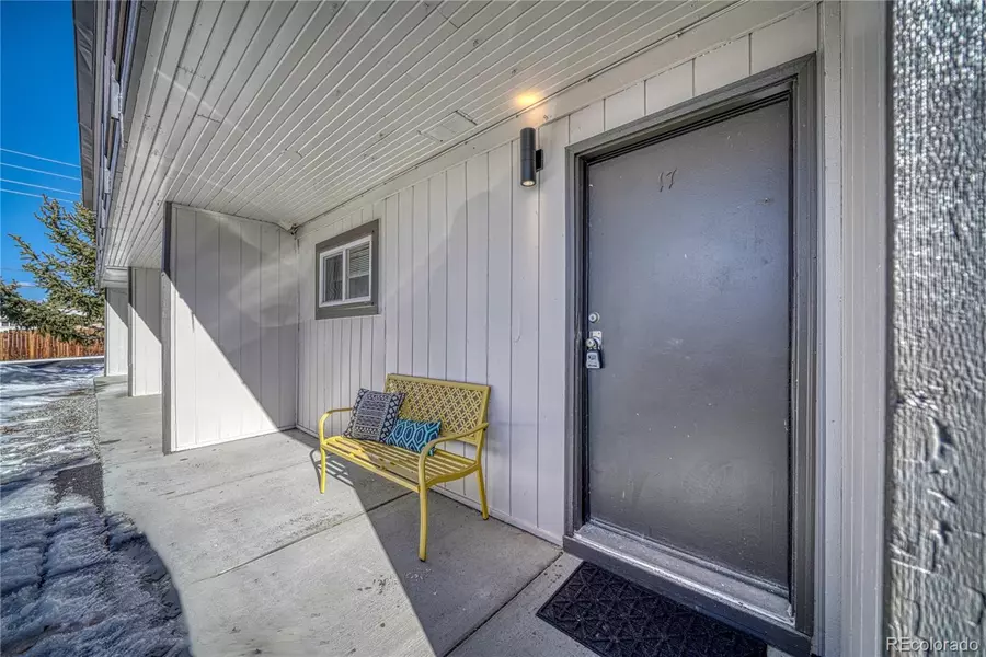 921 Mt Massive DR #23, Leadville, CO 80461