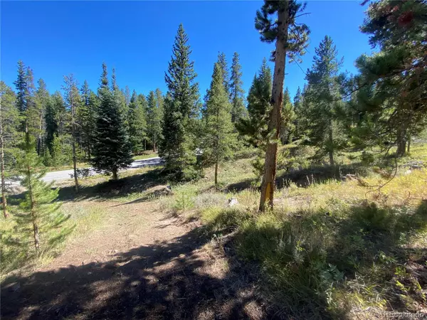 Breckenridge, CO 80424,2035 Highlands DR