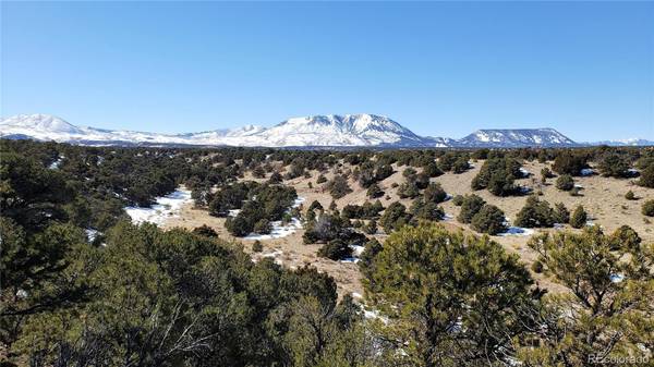 Lot 130 Colorado Land & Grazing Unit BB, Gardner, CO 81040