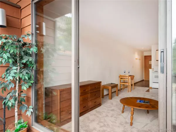 Frisco, CO 80443,99 granite #217