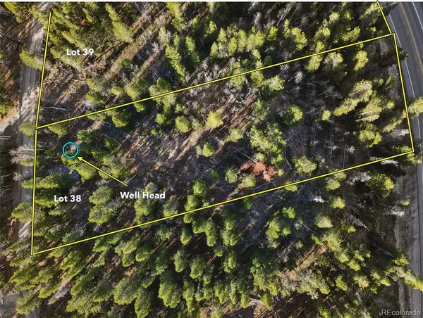 Black Hawk, CO 80422,86 Severance Lodge RD