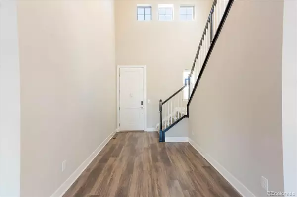 Castle Rock, CO 80104,199 Simmental LOOP