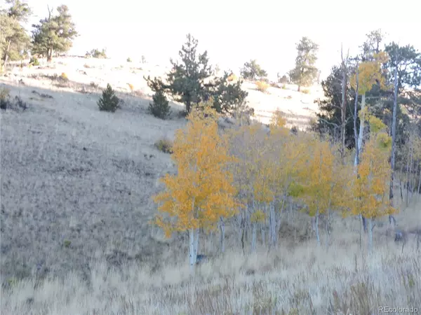 Hartsel, CO 80449,8494 Chickasaw RD
