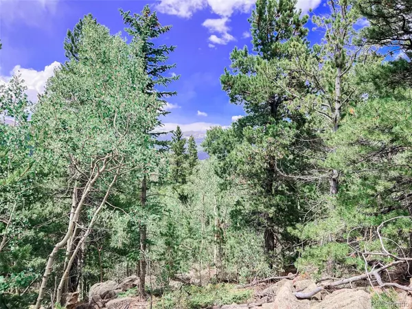 Idaho Springs, CO 80452,00 South Spring Gulch RD