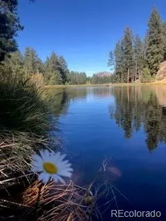 300 Overlook CIR, Sedalia, CO 80135