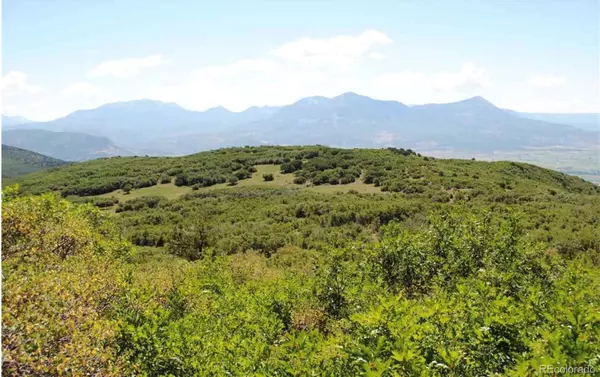 Paonia, CO 81428,18965 Johnson RD