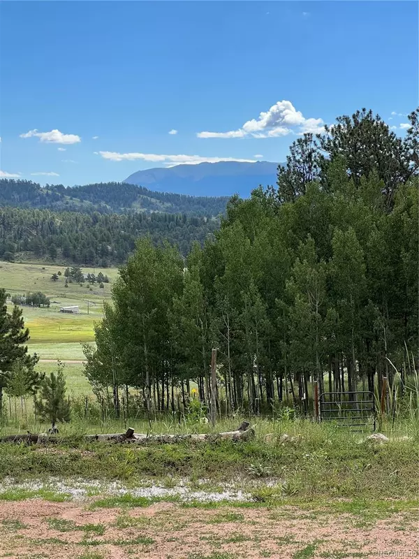 286 Cambell LN,  Florissant,  CO 80816