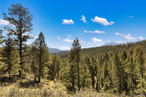 Woodland Park, CO 80863,Unknown