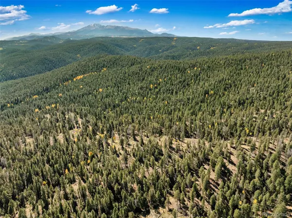 Woodland Park, CO 80863,Unknown