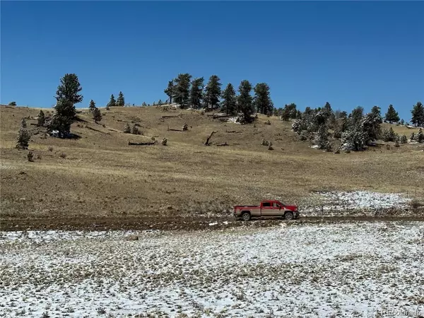 Hartsel, CO 80449,0001 Dog Chief TRL