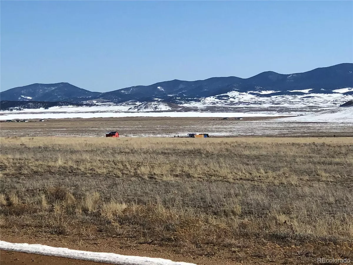 Hartsel, CO 80449,3209 Rio Blanco RD