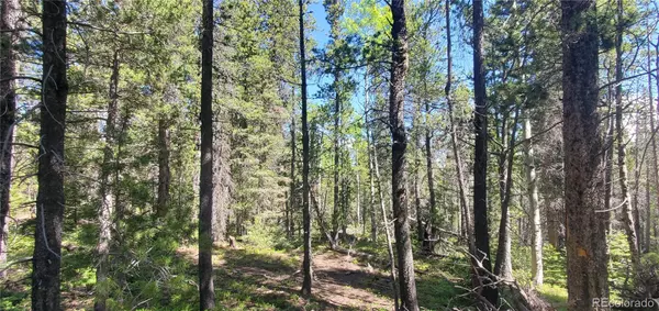 Fort Garland, CO 81133,Lot 2914 Forbes Loop