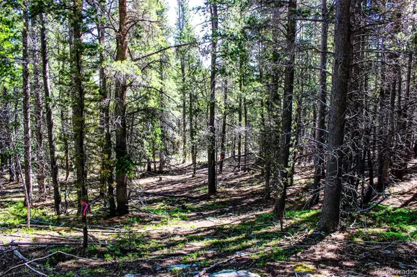 Black Hawk, CO 80422,4 Roosevelt Ridge