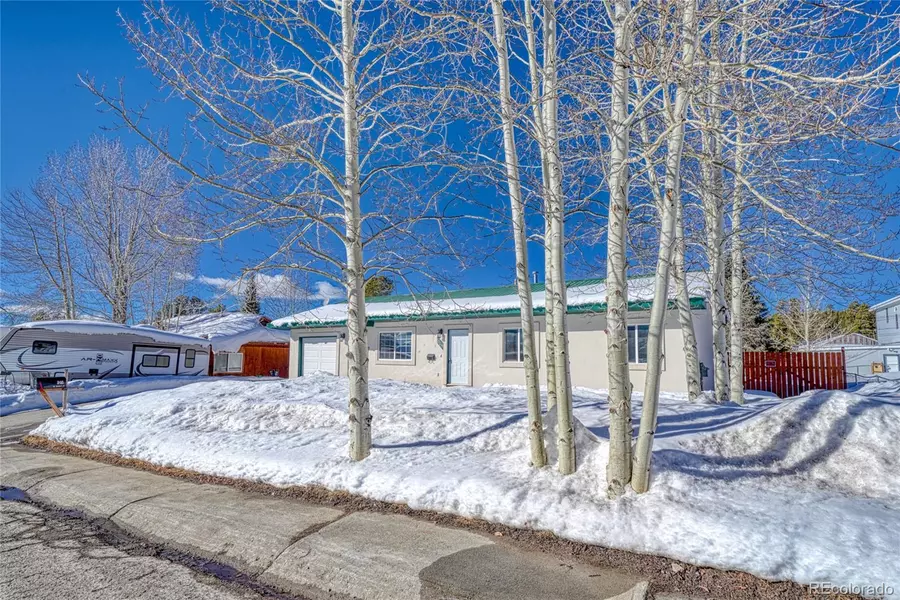 305 Mount Sherman DR, Leadville, CO 80461