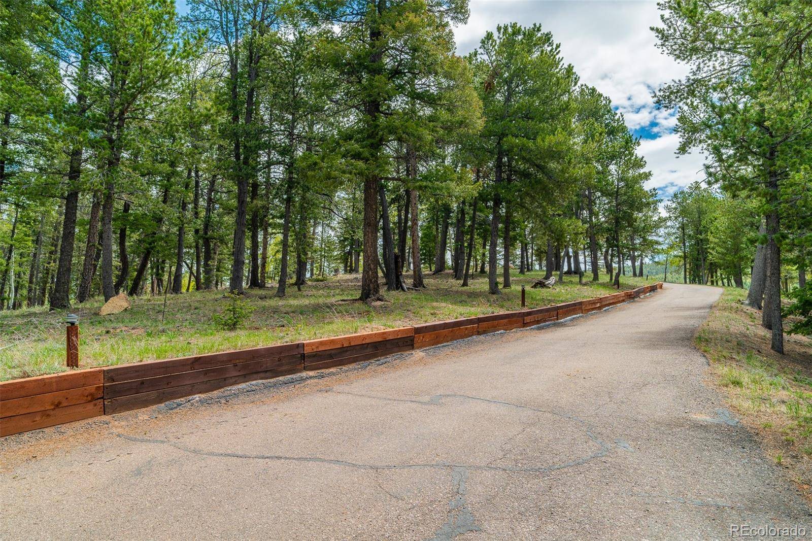 Divide, CO 80814,2755 Elk Ridge South