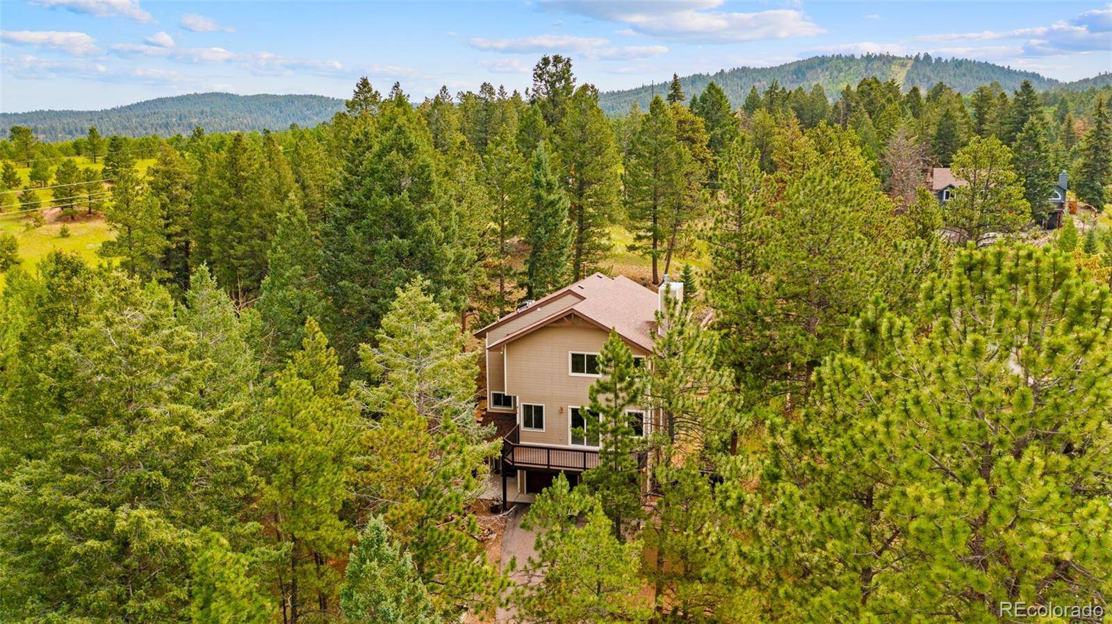 Woodland Park, CO 80863,2882 Sunnywood AVE
