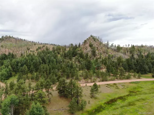 Florissant, CO 80816,76 Crocus CIR