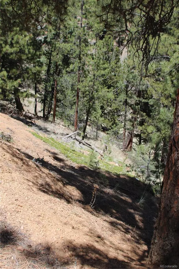 Bailey, CO 80421,406 Brown ST