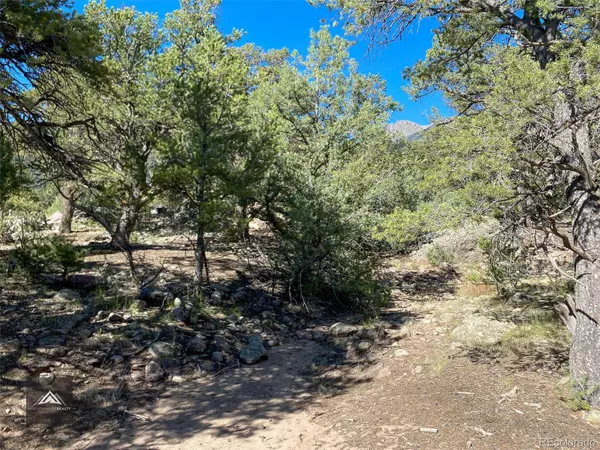 Crestone, CO 81131,407 N Chaparral WAY