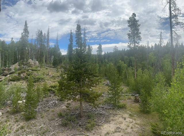 Tabernash, CO 80478,842 Elk Dale DR