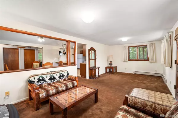Pine, CO 80470,33411 Lake LN