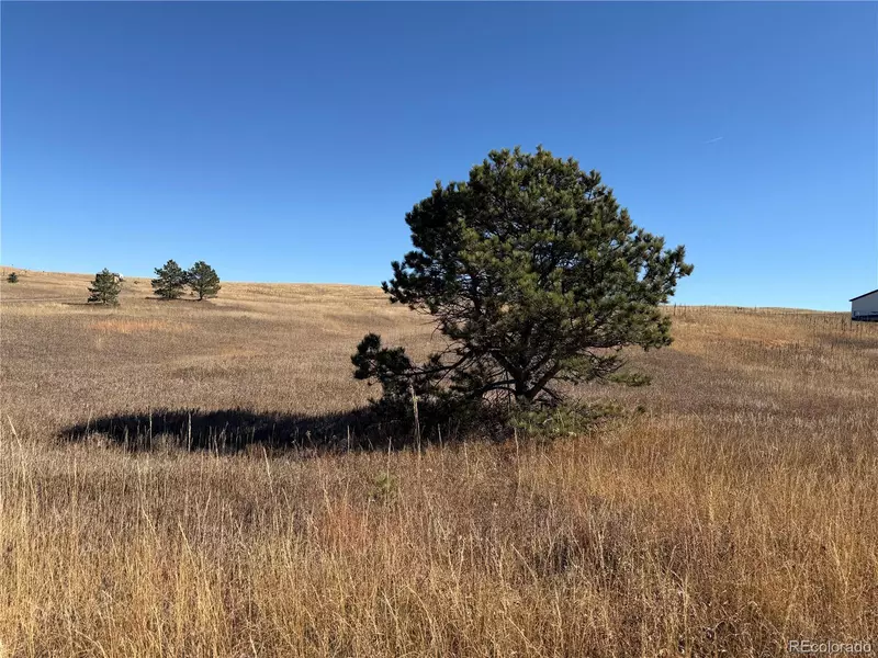 20155 E Thunder RD, Colorado Springs, CO 80908