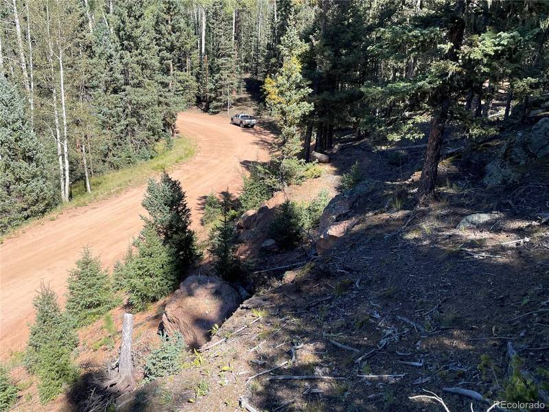 3267 N Mountain Estates RD, Florissant, CO 80816