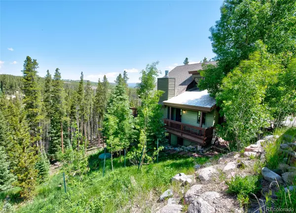 Breckenridge, CO 80424,205 Protector PL